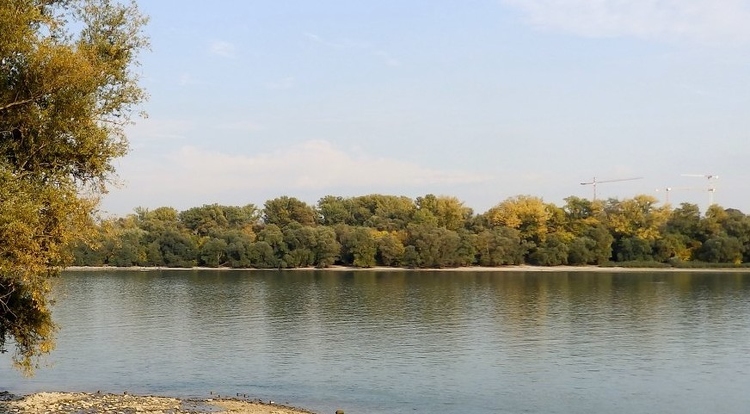Vizes élőhelyek újulnak meg a Duna egykori árterén