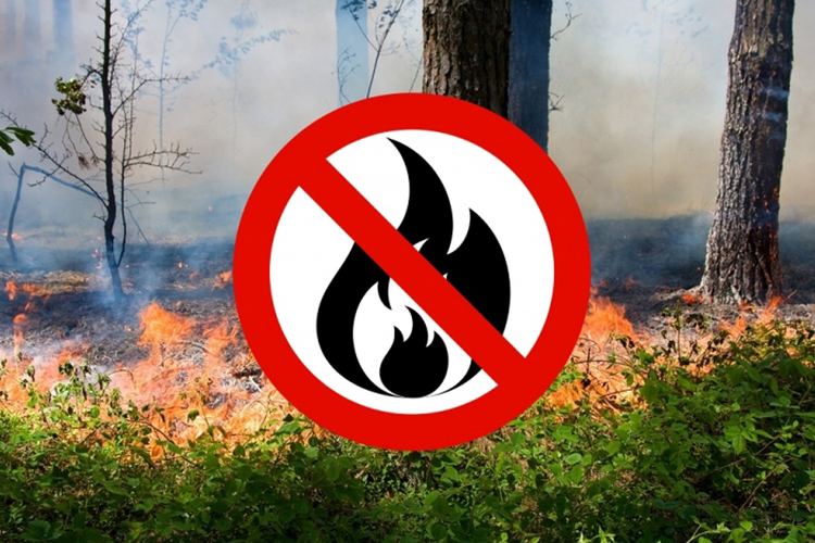 Tűzgyújtási tilalom van Bács-Kiskun megyében