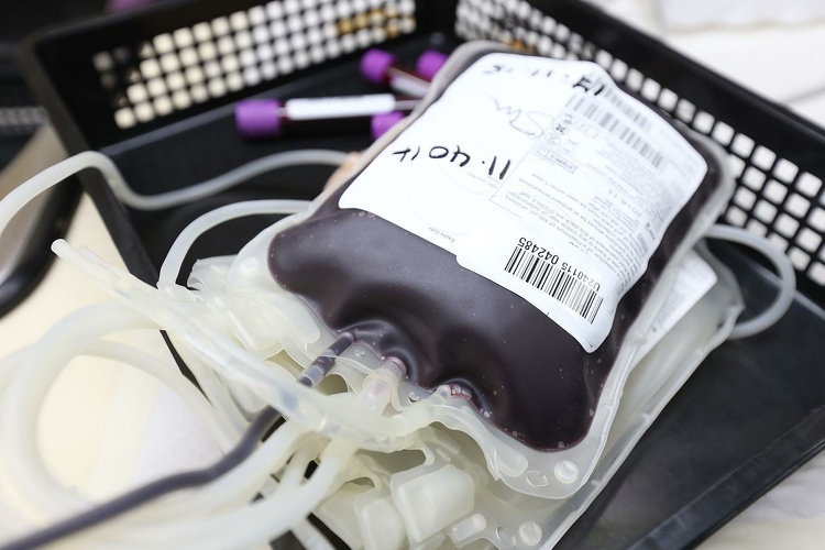 Két rendkívüli véradással is várja a donorokat a Vöröskereszt Baján