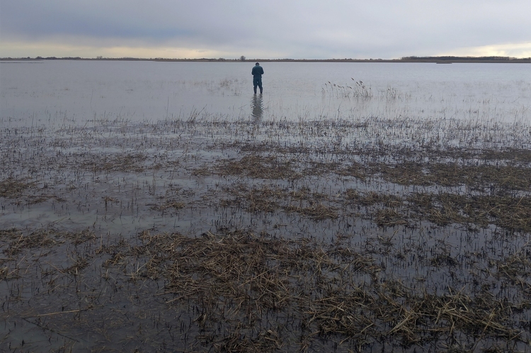 A Kiskunsági Nemzeti Park munkatársai vizsgálják a víz minőségét a szikes tavakban