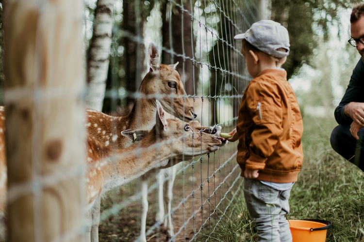 Fáklyafényes Nyári Este a Kecskeméti Vadaskertben