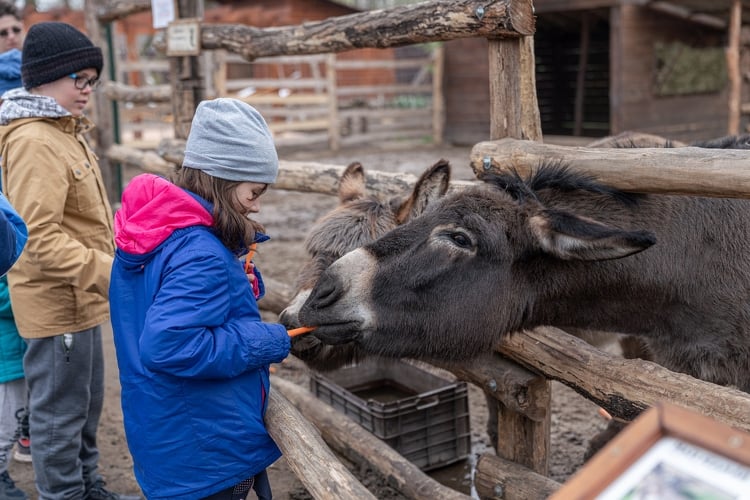 Ismét jótékonysági napot tartott a kecskeméti vadaskert