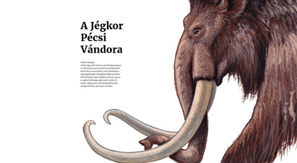 A pécsi mamut maradványait mutatja be a Janus Pannonius Múzeum