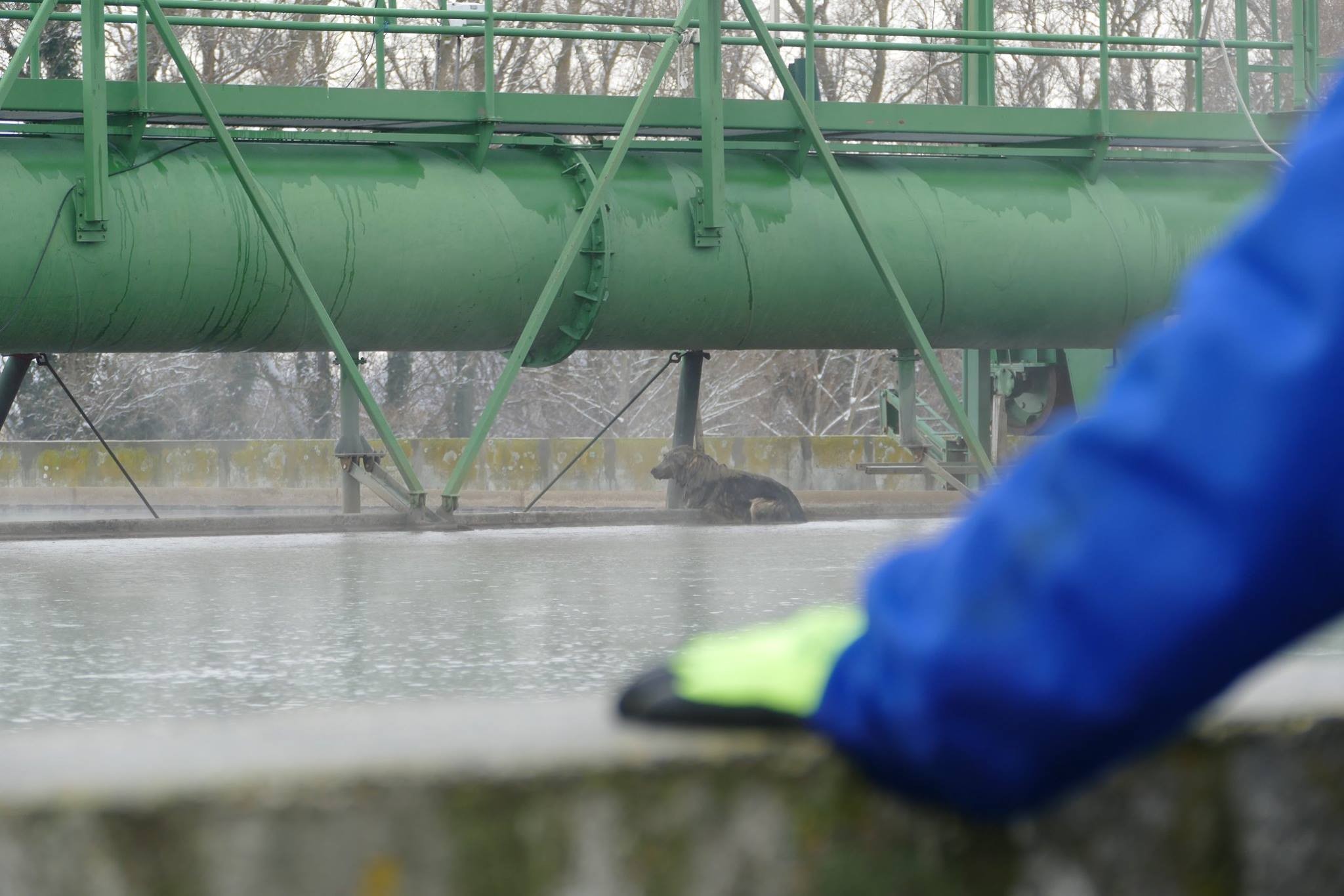 Nyolcmilliárdból újítja fel Pécs szennyvíztelepét a Strabag