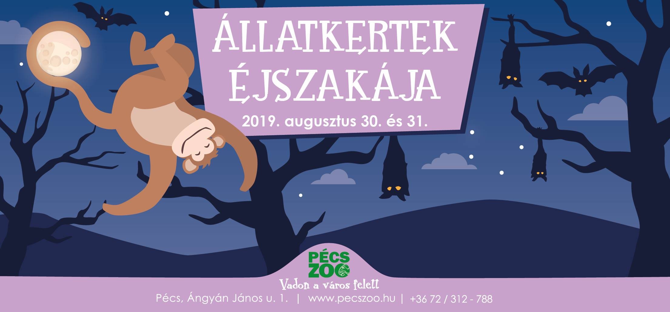 Állatkertek éjszakája - Pécsen két estén át is várják a látogatókat
