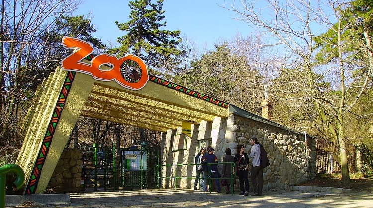 Koronavírus - Számítanak támogatóikra a vidéki állatkertek, ahogy a Pécsi Állatkert is