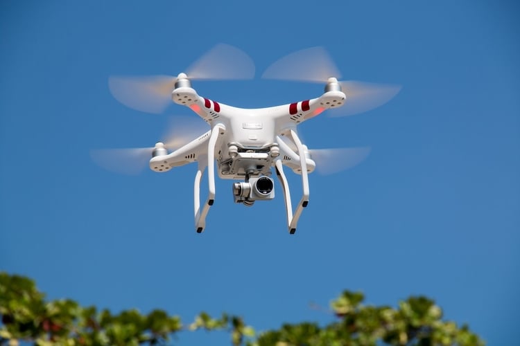 Drónok segíthetik a parlagfűvel borított területek és a járműforgalom vizsgálatát