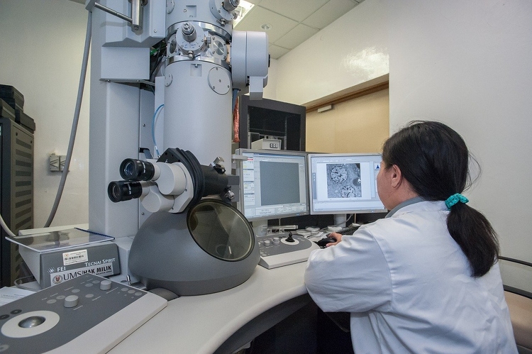 A gyógyításban is alkalmazható 3D-s elektronmikroszkópot szereztek be a Pécsi Tudományegyetemen