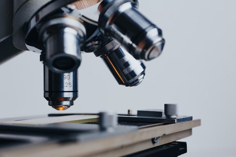 Mikroszkóplabort avattak a Pécsi Tudományegyetem