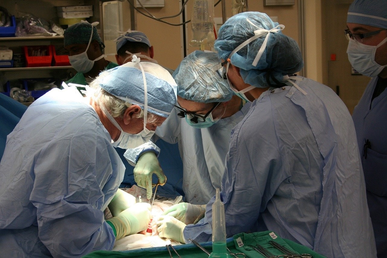 307 szervátültetés történt Magyarországon tavaly