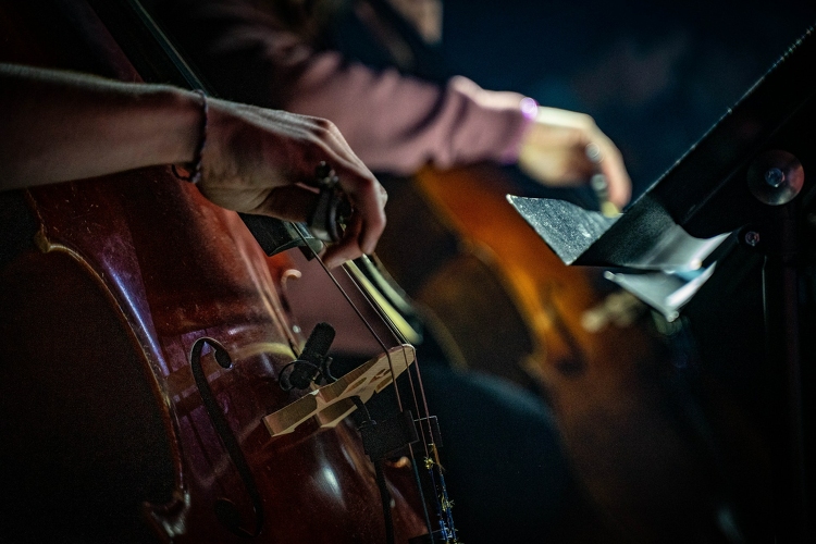 Bécsben adnak koncertet a Pannon Filharmonikusok