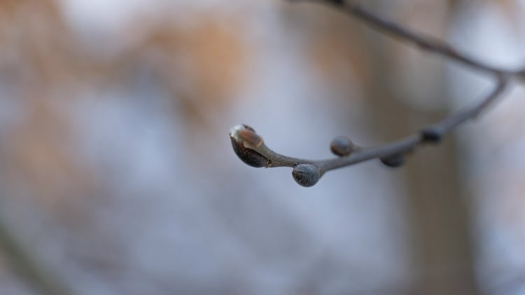 indul a jegyértékesítés a Pécsi Nemzeti Színház februári előadásaira