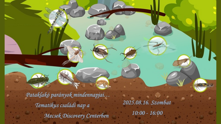 Pataklakó parányok mindennapjai - családi nap a Mecsek Discovery Centerben