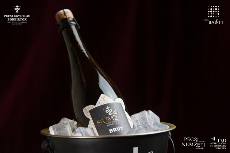 A Pécsi Nemzetiben mutatták be a PTE legújabb büszkeségét: a SUMMA pezsgőt.