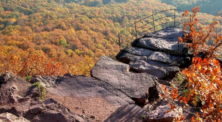 Orixom Társaságkereső túra a Jakab-hegyre