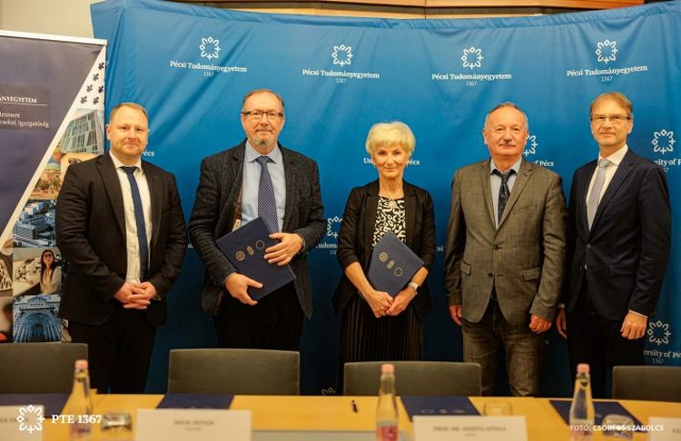 Újfajta fájdalomcsillapító tapaszt fejlesztettek magyar kutatók