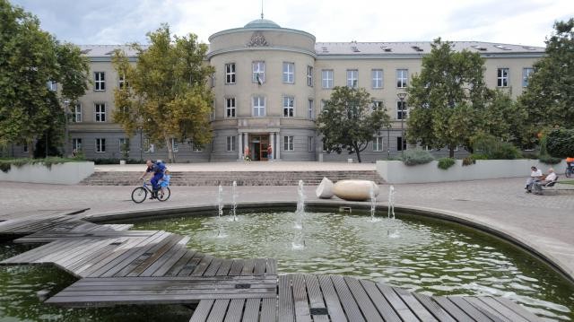 Karrier napot tartanak a Dunaújvárosi Egyetemen
