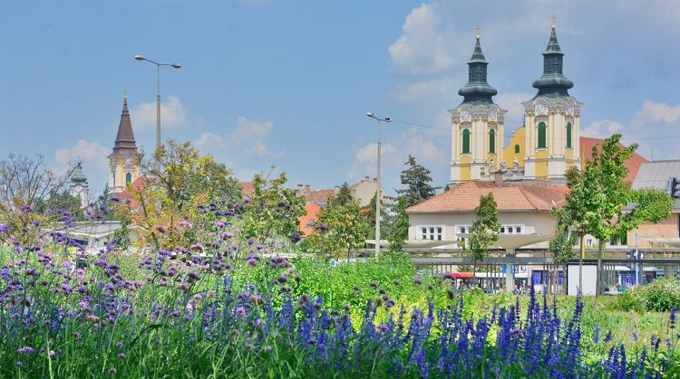 Közös felkészülés - Székesfehérvár és Orfű a jövő évi Entente Florale Europe versenyen