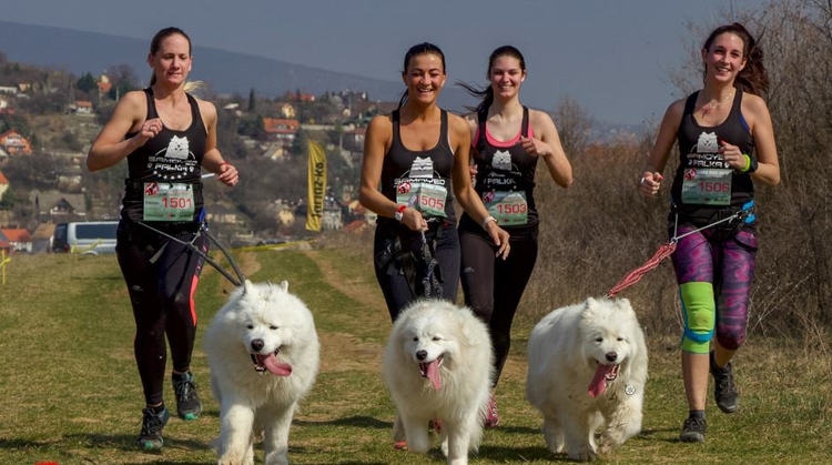 Márciusban kutyás futóverseny lesz Dunaújvárosban