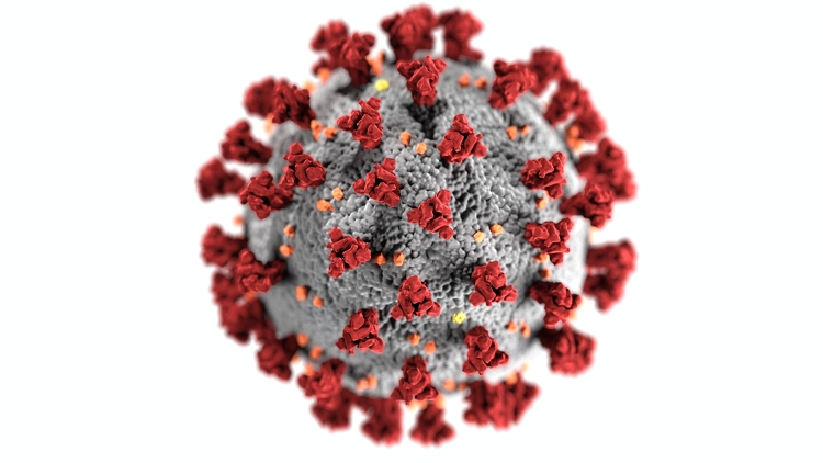 Koronavírus: hatékonyan támogatják a védekezést a hazai kutatás-fejlesztési projektek