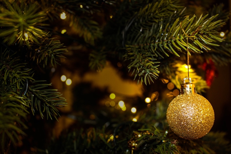 Székesfehérvár adja idén az Ország Karácsonyfáját.