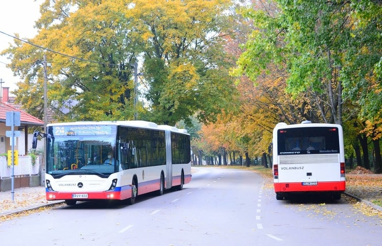 Ingyenes lesz a közösségi közlekedés négy napon át Székesfehérváron