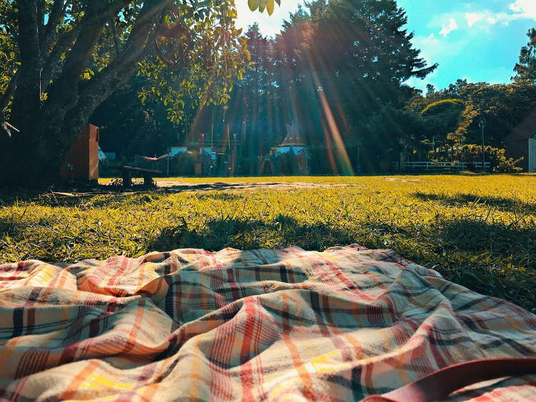Vasárnap délután lesz a Mancz Piknik