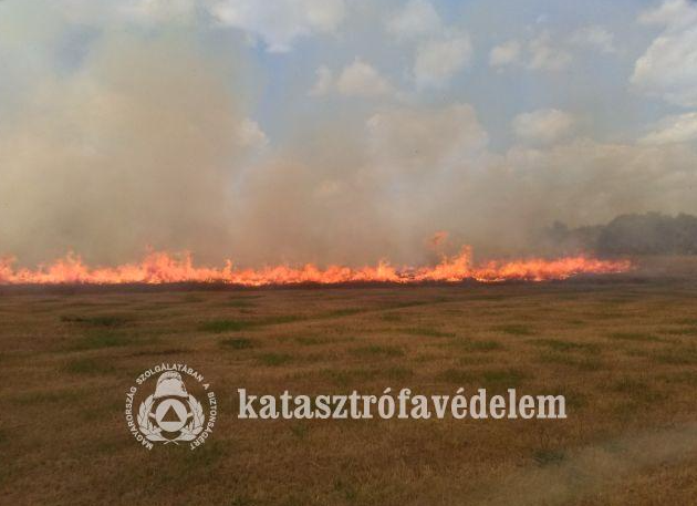 A nagy melegben bőven akad dolguk a Szolnok megyei tűzoltóknak 