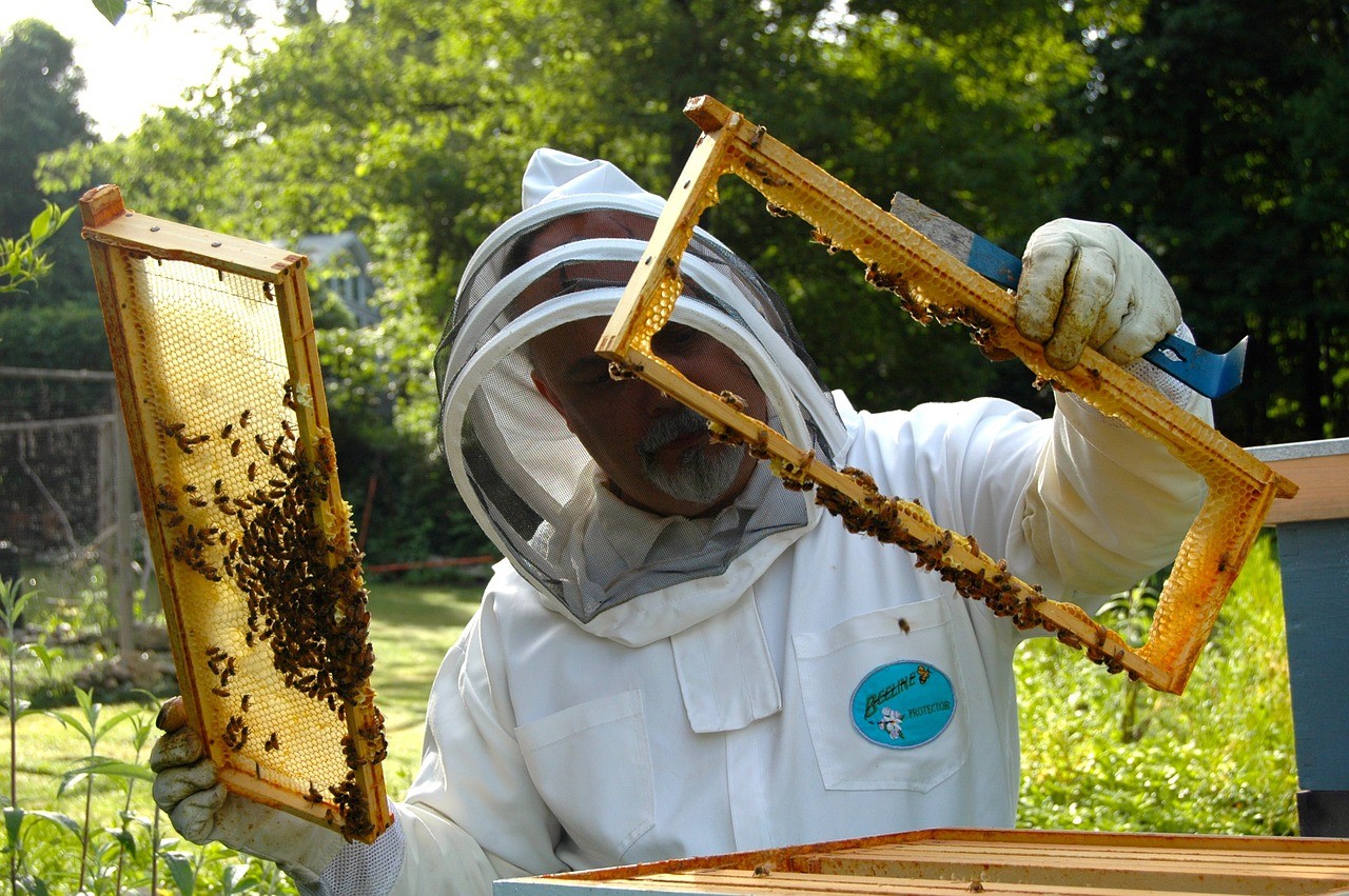 Csökken a méhészek száma