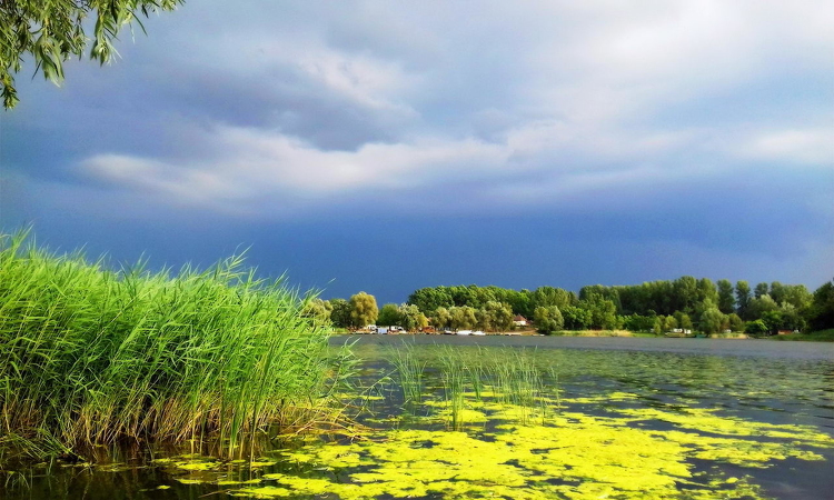 Befejeződött a Tisza-tó téli vízszintje beállításának első lépcsője