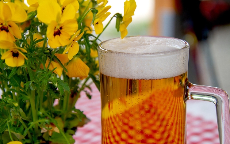 Összefogott a hazai sörszakma a kisüzemi sörökért