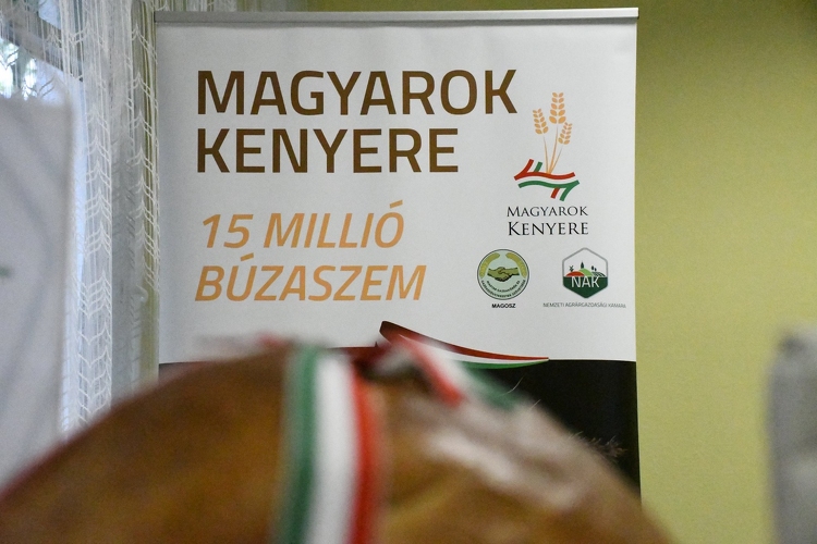 Százhuszonhét tonna búzát adtak a jászkunsági gazdák a Magyarok Kenyere programhoz