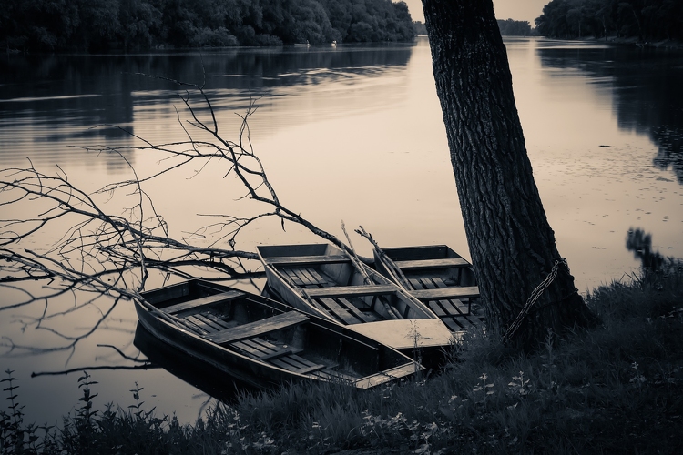 Elsőfokú árvízvédelmi készültséget rendeltek el a Tisza-tónál