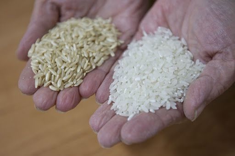 Uniós oltalmat kapott a Nagykun rizs