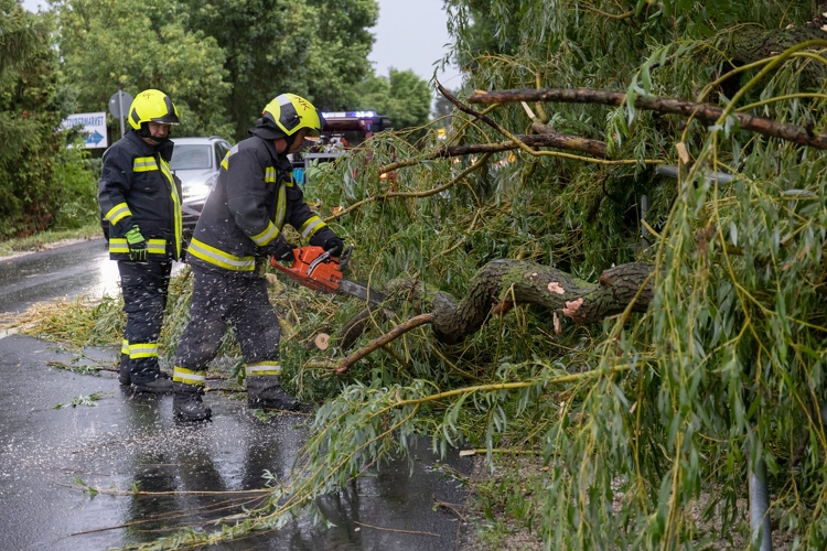 Bács megyében is sokan szenvedtek a júniusi viharoktól - A biztosítók 3,4 milliárd forintot fizettek ki