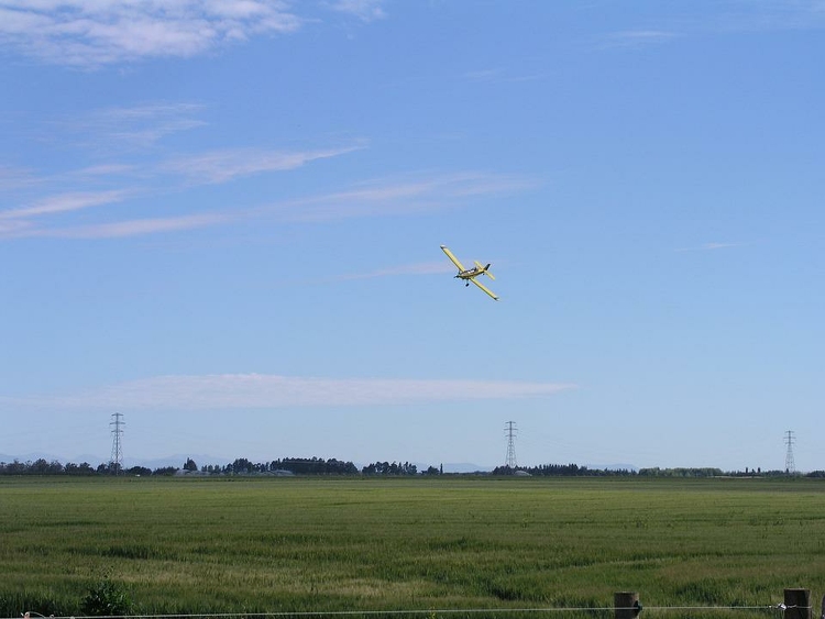 Szolnok térségében és a Tisza-tónál is végeznek a héten repülőről biológiai lárvagyérítést