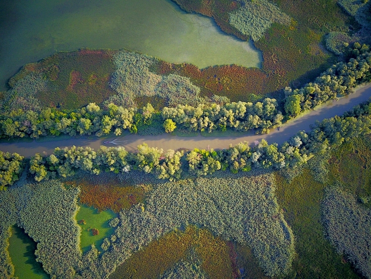 Vízi járőrözést kezdenek a polgárőrök a Maroson és a Tisza alsó szakaszán