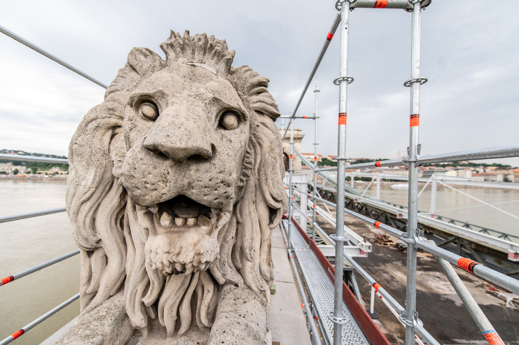 Lánchíd-felújítás: már szállítják az első oroszlánszobrot a restaurátor-műhelybe