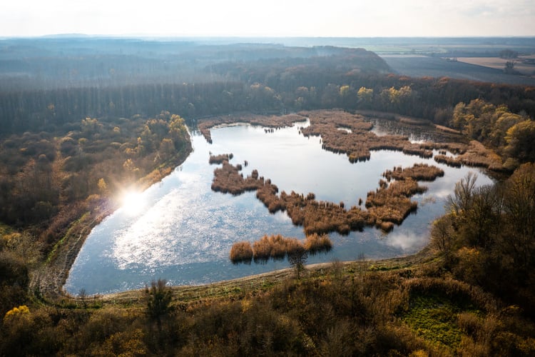 A Duna-Dráva Nemzeti Park számos tavába és környezetébe lehelt új életet a Szabadics - Fotók