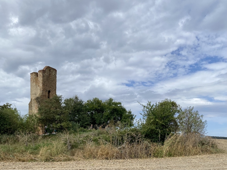Tolnába is megérkezik a ROM Vándor – Újabb középkori templomromot rehabilitál a Market