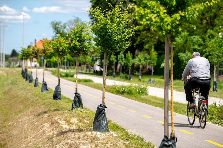 Több mint 400 millió forintból fejlődött a kerékpáros közlekedés Mórahalmon 