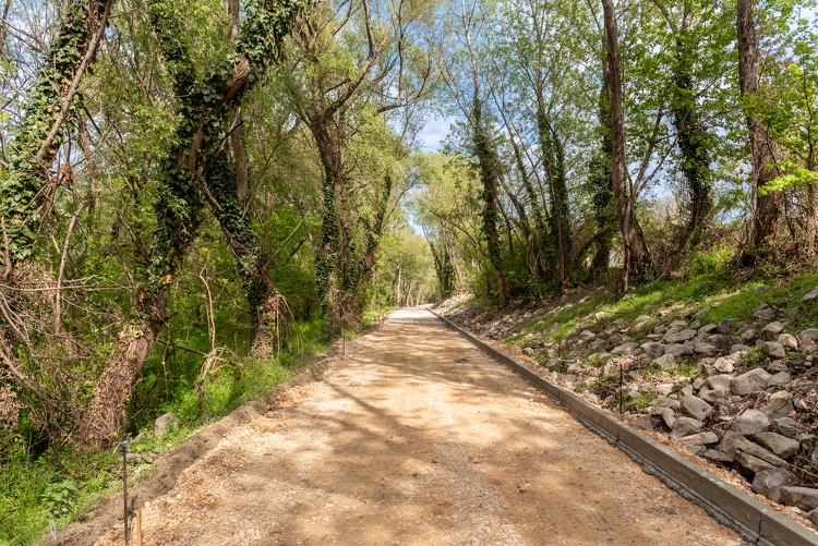 Új bringaút vezet majd a szentgáli tiszafáshoz