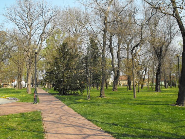 Új arculatot kap Makó legnagyobb parkja, megvan a forrás