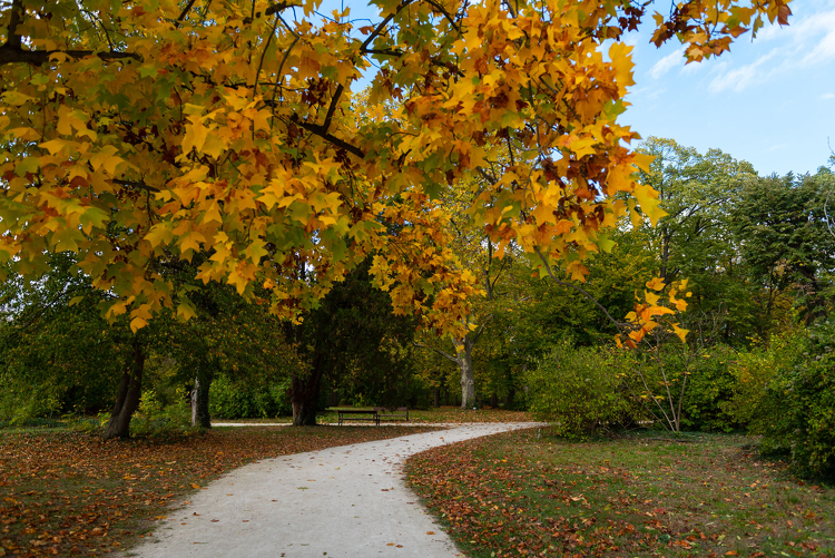 A helyieknek szól Dévaványa új közparkja és rendezvénytere
