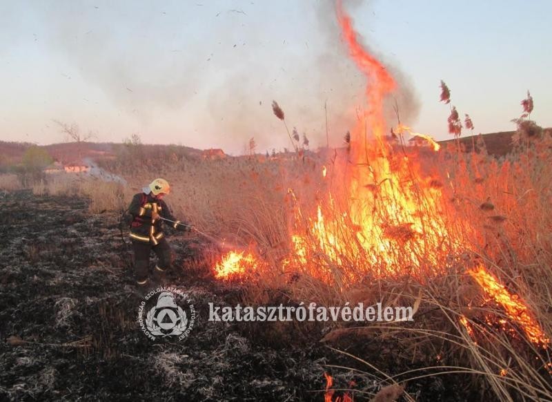 Összesen húsz alkalommal riasztották hétvégén szabadtéri tüzekhez a nógrádi tűzoltókat 