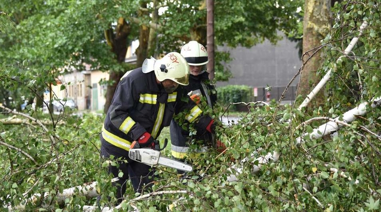 Több nógrádi településen is munkát adtak a tűzoltóknak a kidőlt fák