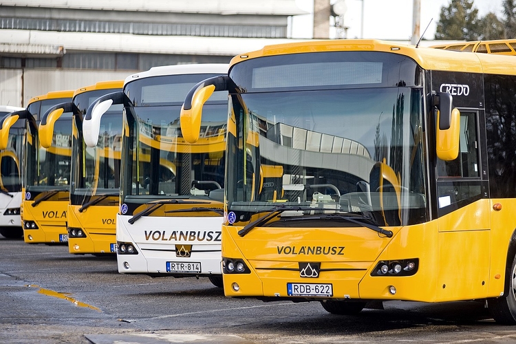 Új buszokat állított forgalomba a Volánbusz Nógrád megyében