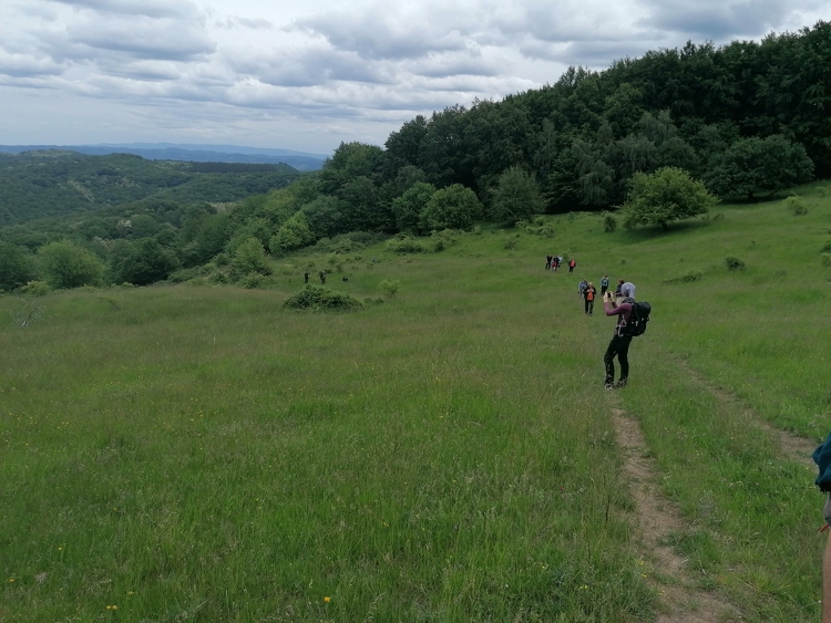 Barlangtúrát és denevérmegfigyelést is tart a Bükki Nemzeti Park