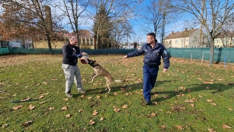 A Nógrád vármegyei rendőrök a Cserhát Mentőkutyás Egyesület tagjaival tartottak kutyavezetői képzést