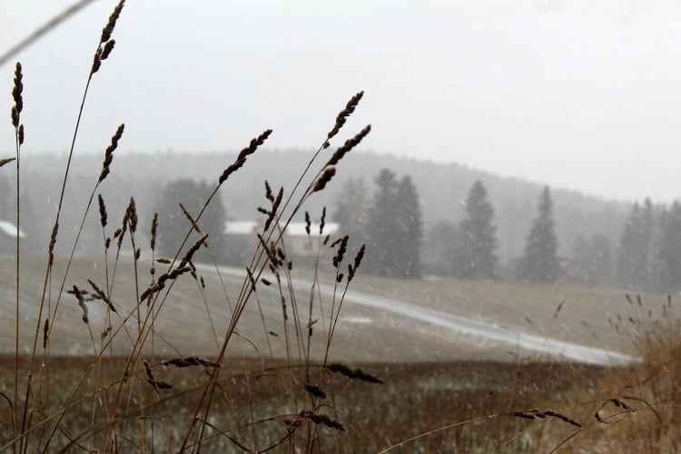 Nógrádban is ónos esőre figyelmeztet a meteorológiai szolgálat csütörtökön